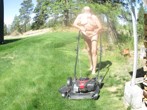 lawn mow 1 